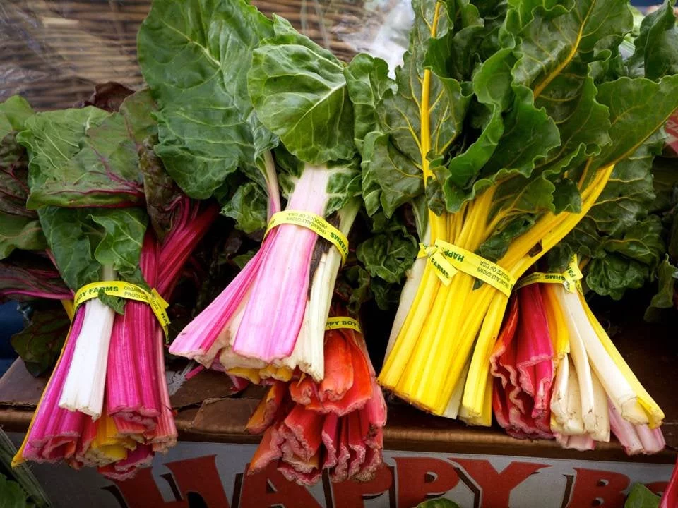 Rainbow Chard Swiss Seeds/ Biennial/ Full Sun/  6800 Seeds 1/4 LB/ Zellajake Farm and Garden- B166