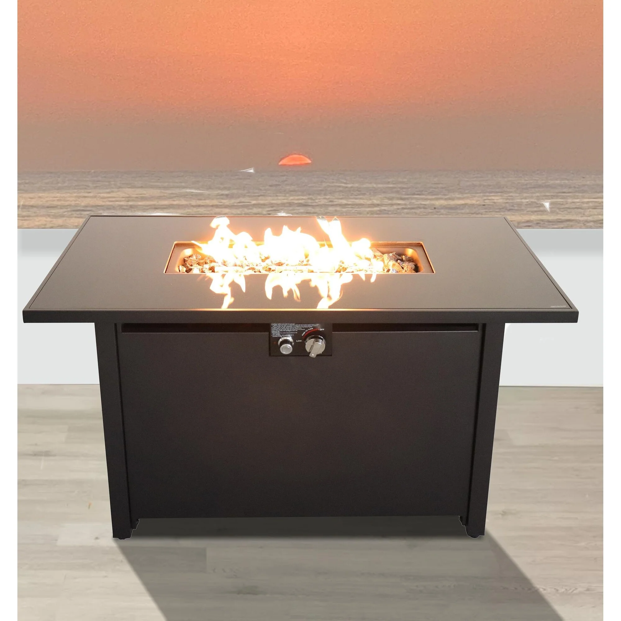 Living Source International LSI 42