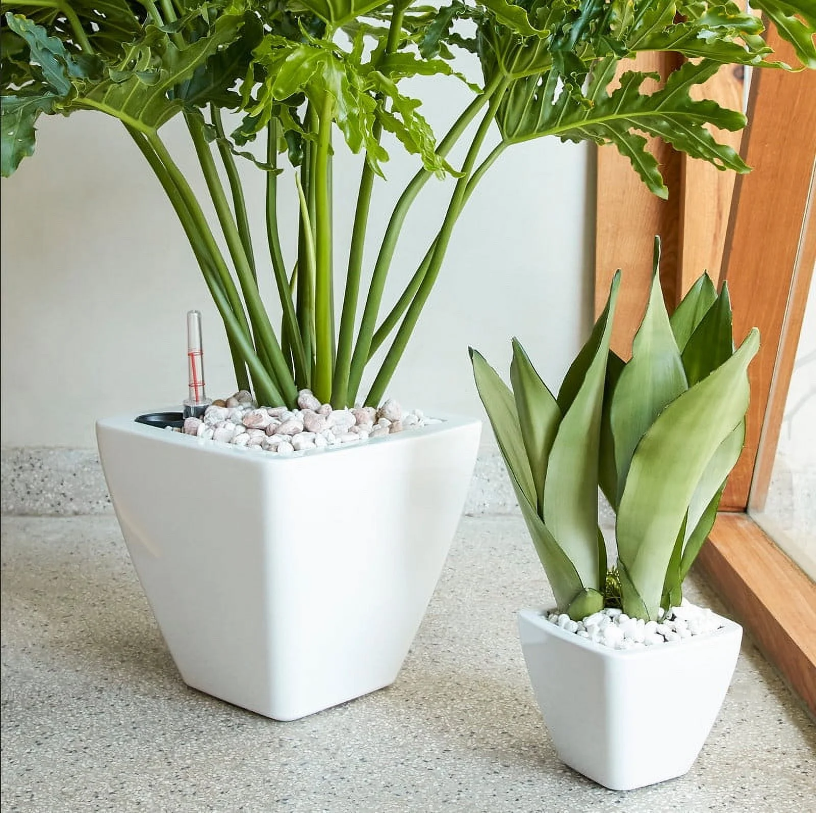 GUIOIHDC 2-Pack Smart Self-watering Planter Pot for Indoor and Outdoor -  - Square Cone