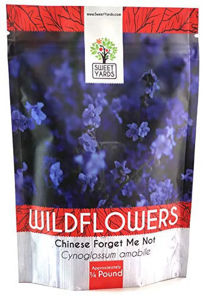 Chinese Forget Me Not Wildflower Seeds - Bulk 1/4 Pound Bag - Over 22,000 Open Pollinated Seeds - Blue Cynoglossum amabile