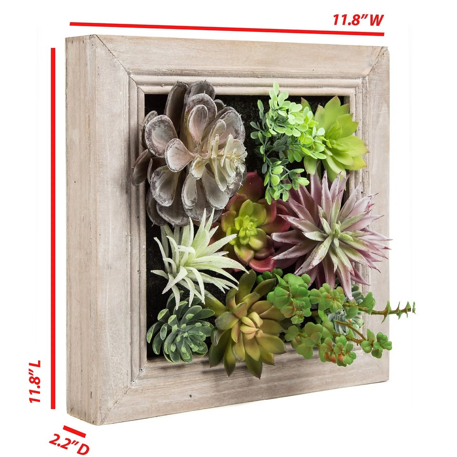 K-Cliffs 3D Wall Hanging Artificial Plants in a Solid Wooden Frame. Decorative Decor Any Room in your Home or Office.