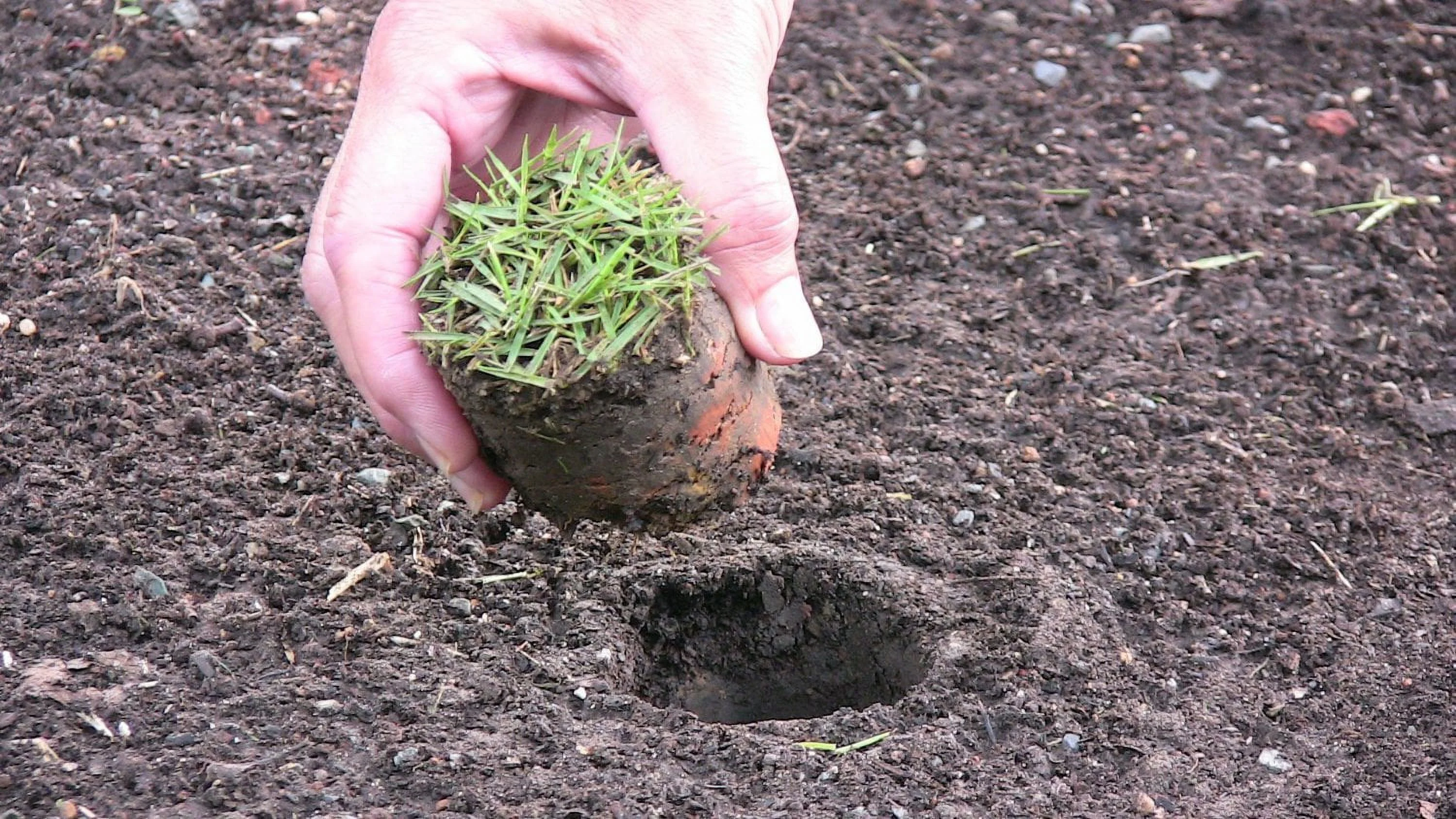 Proplugger 5-In-1 Lawn Tool And Garden Tool Bulb Planter W