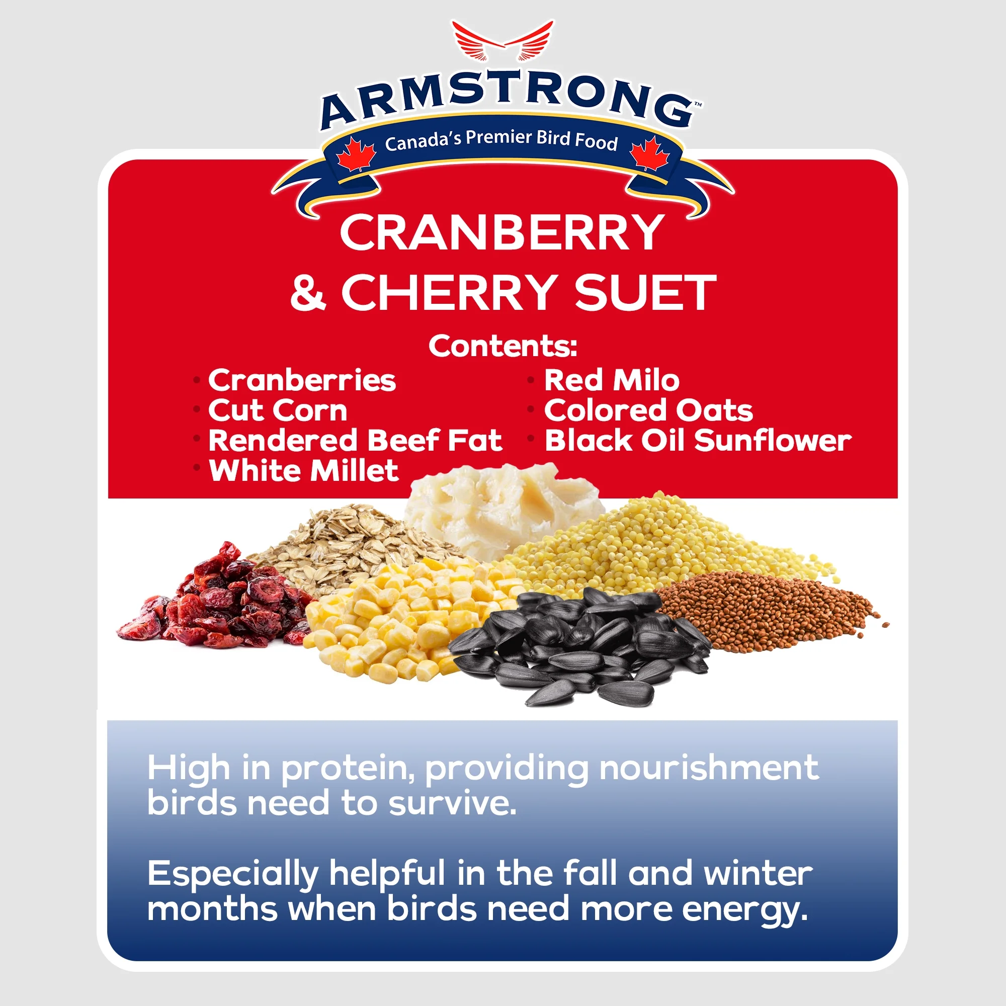 Armstrong Wild Bird Food Cranberry and Cherry Suet Blend, 11.3oz