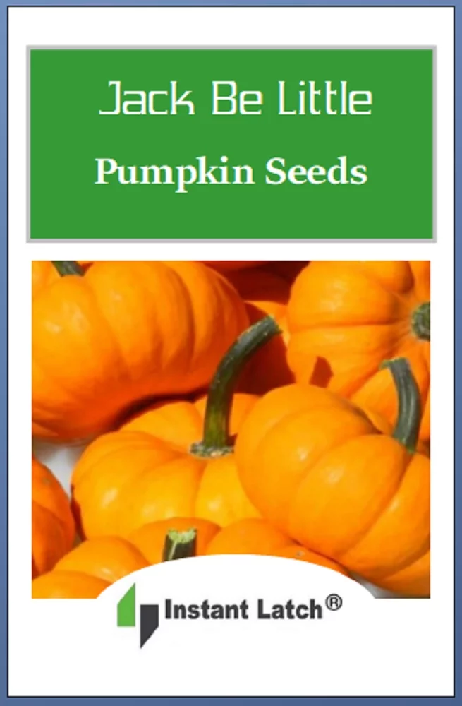 20 Jack Be Little Pumpkin Seeds | NON-GMO | Heirloom | Fresh Garden Seeds
