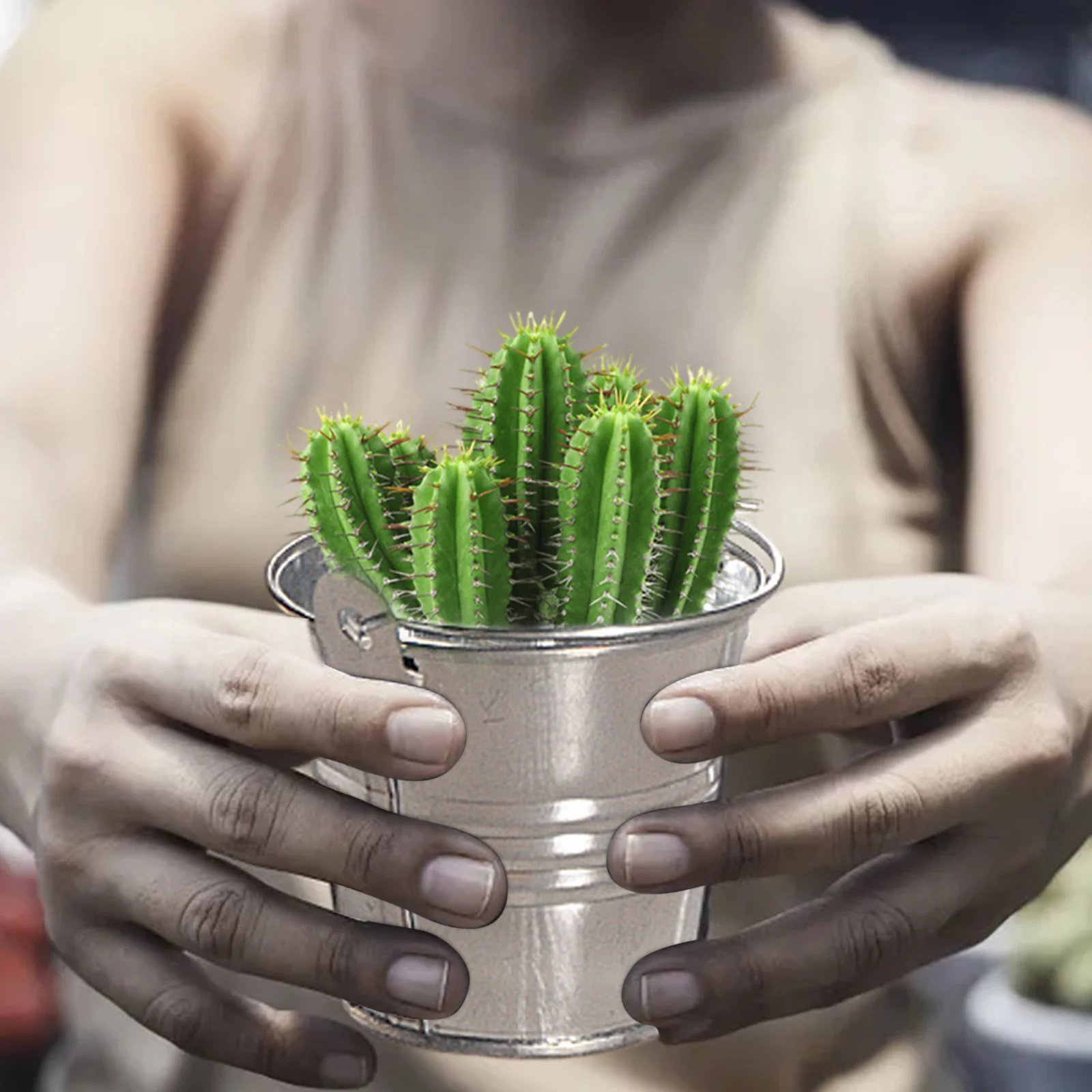 Mini Metal Bucket For Home Storage Craft And Gardening（10PC） Flower Indoor 10inch 1 with Tray Wooden Flower for Indoor round Flower Outdoor round Flower Pot Large Flower for Indoor 30