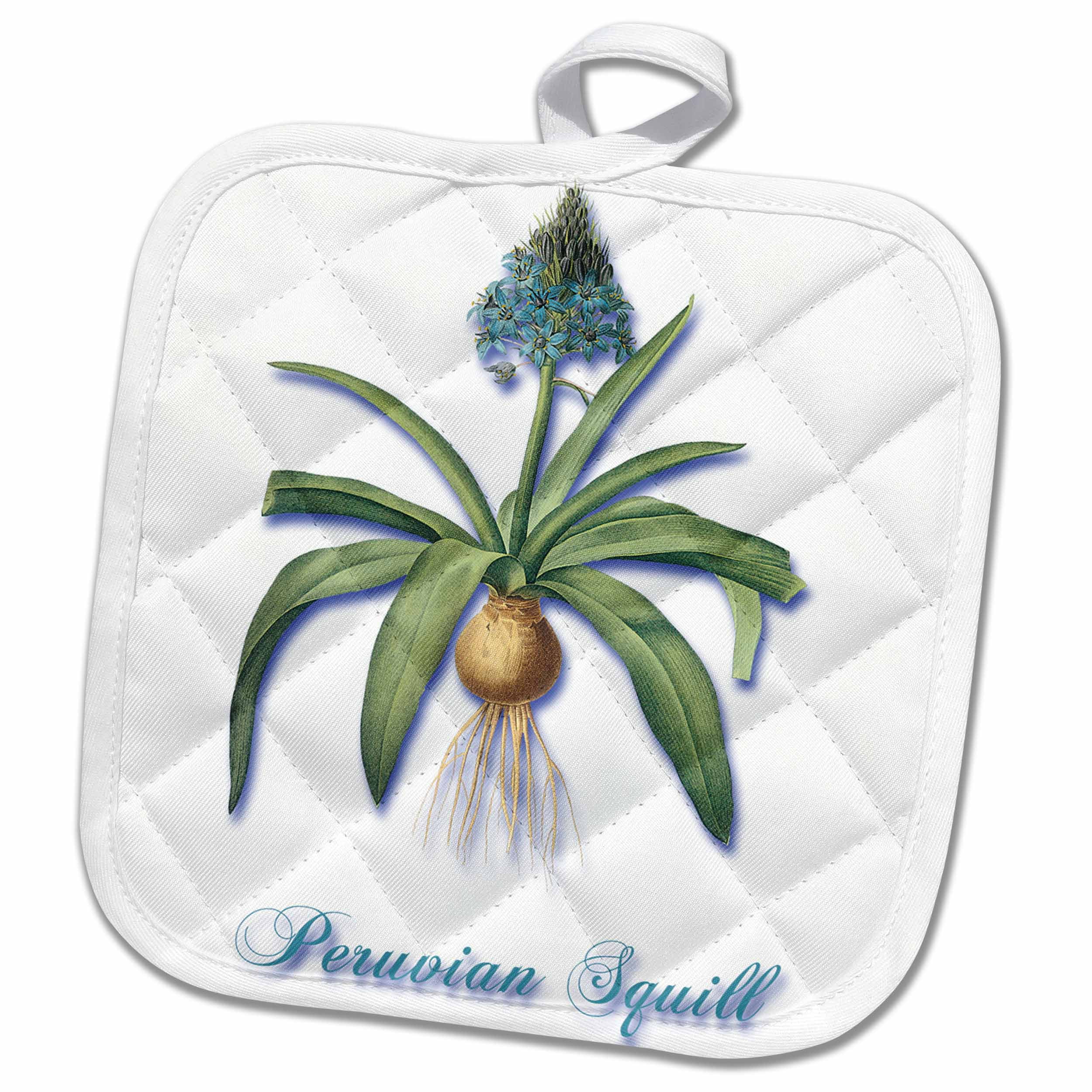 3dRose Dusty Blue Peruvian Squill Plant Botanical Print - Pot Holder, 8 by 8-inch