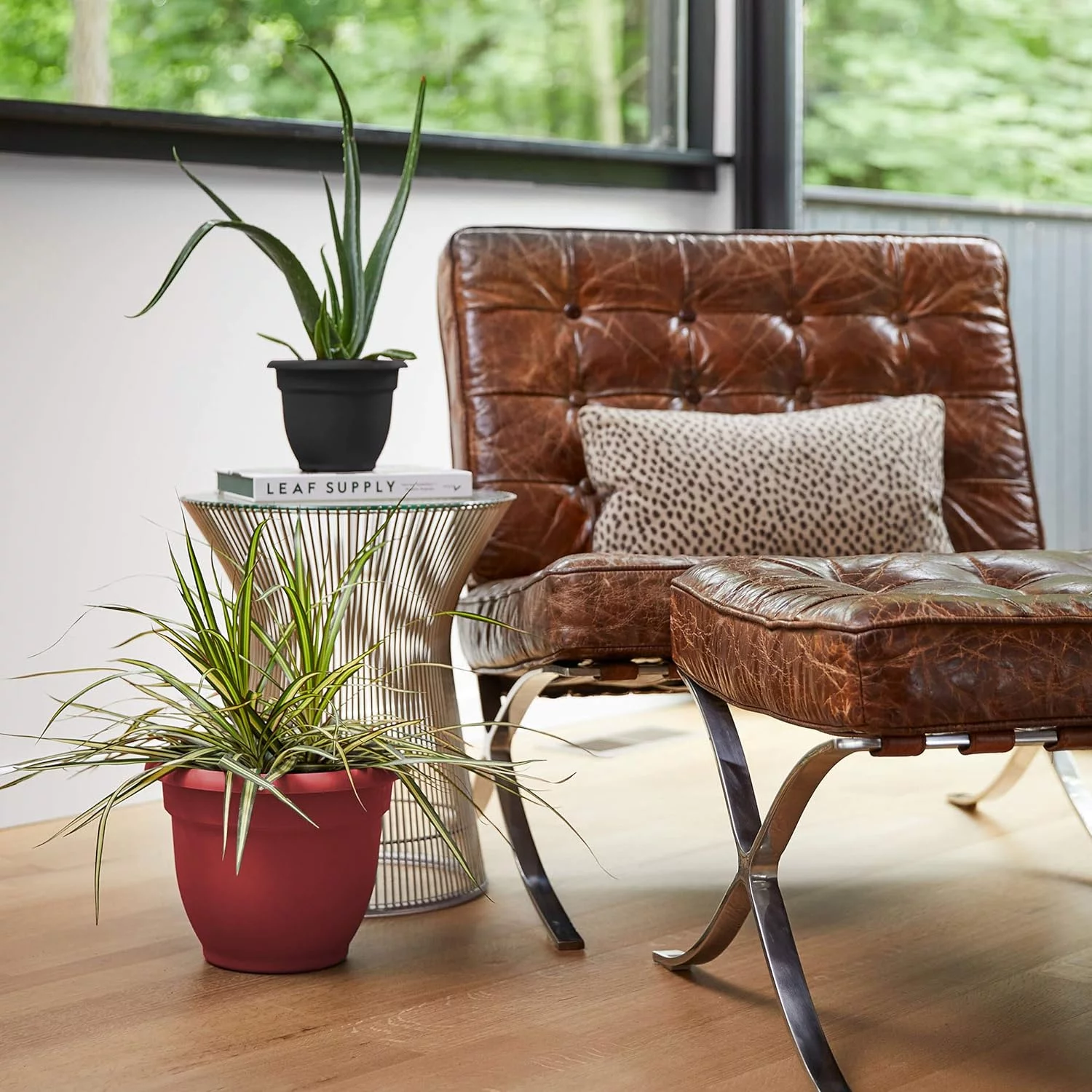 Ariana Self Watering Planter: 12