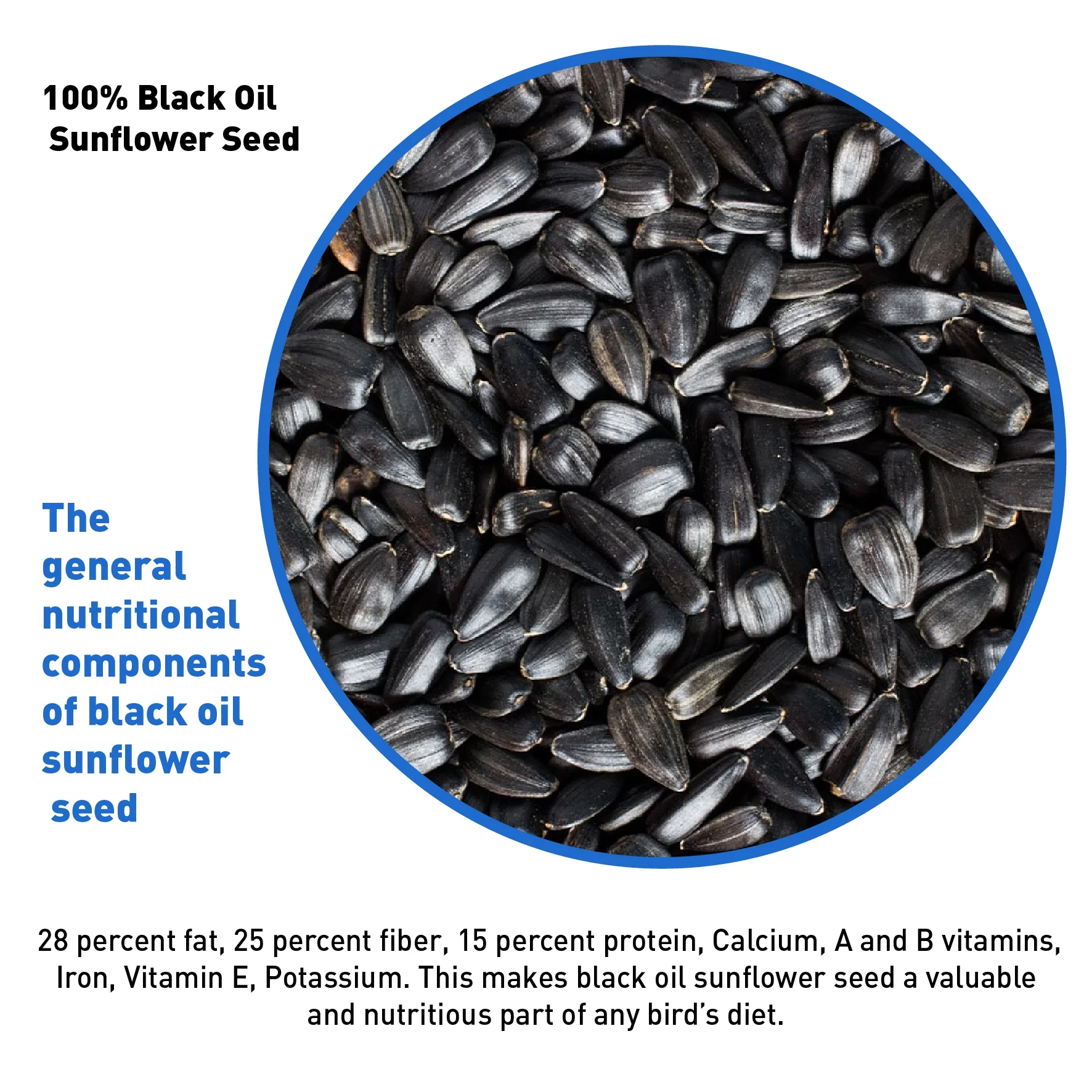Black Oil Sunflower Seed - 40 Pounds