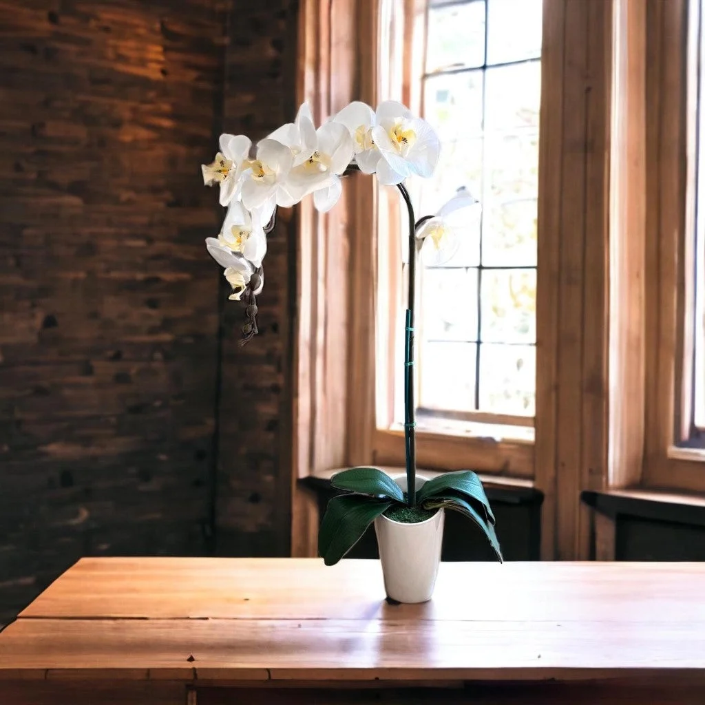 Pixies Gardens Stunning Artificial Orchids White Without Pot 2 Stem