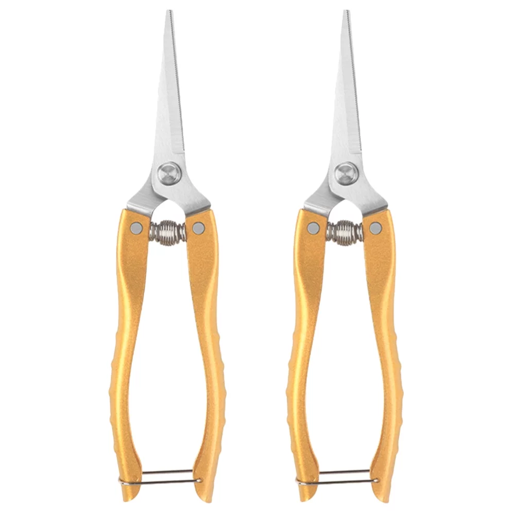 Qumonin 2pcs Stainless Steel Garden Pruning Shears for Indoor Plants
