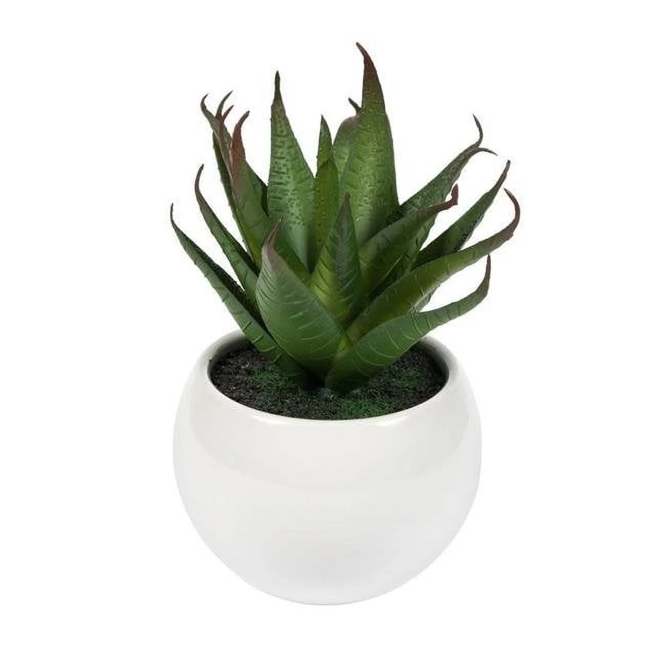 5 in. Green, Red & Grey Succulent White Pot - Set of 3