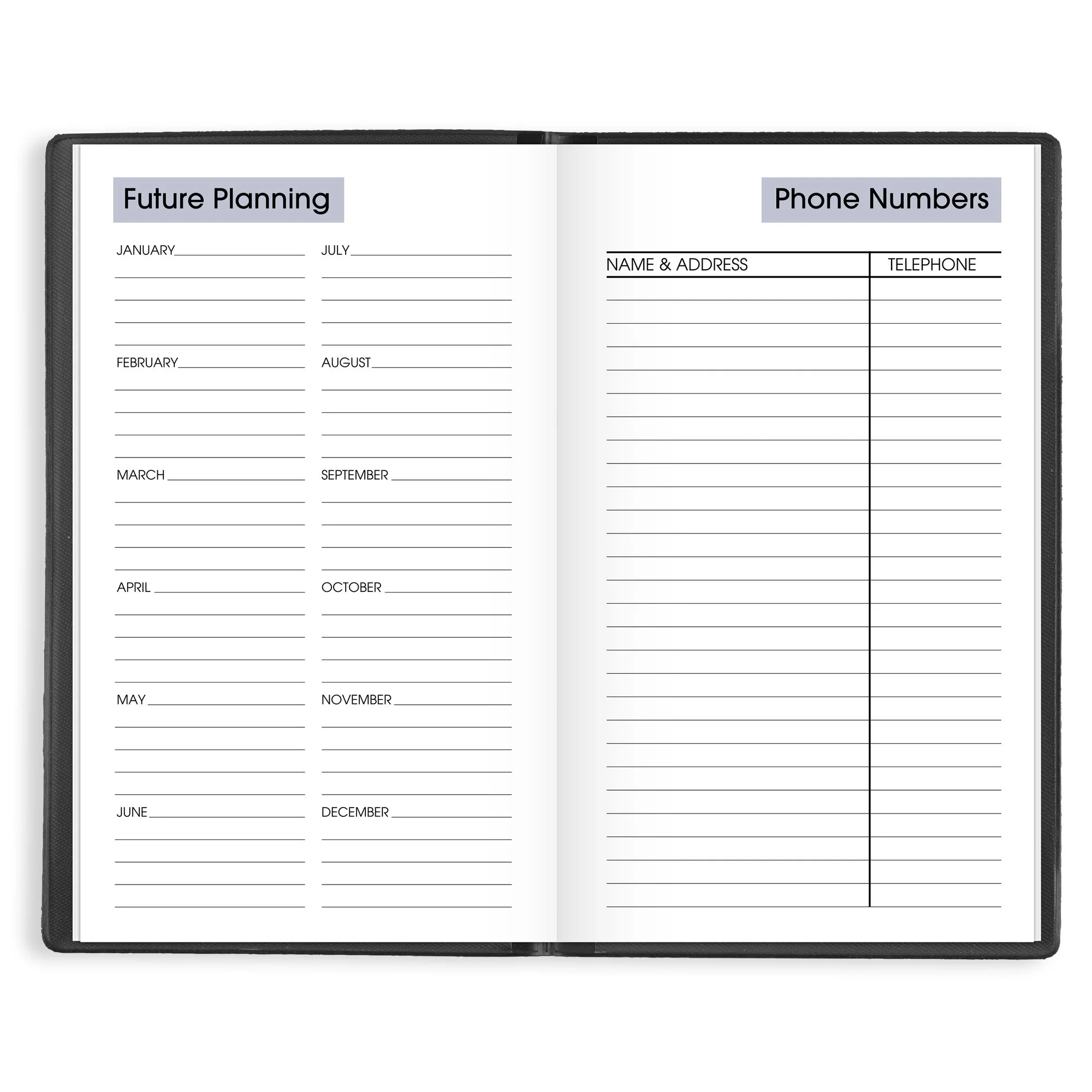 AT-A-GLANCE DayMinder 2025 Weekly Planner Black Pocket 3 12 x 6 - Weekly
