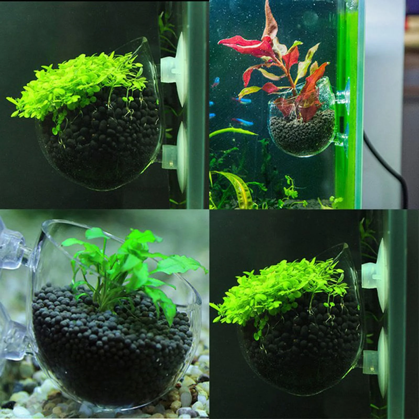 Cultivation Cup Aquatic Plant Cup Pot with Suction Cups for Fish Tank Aquarium
