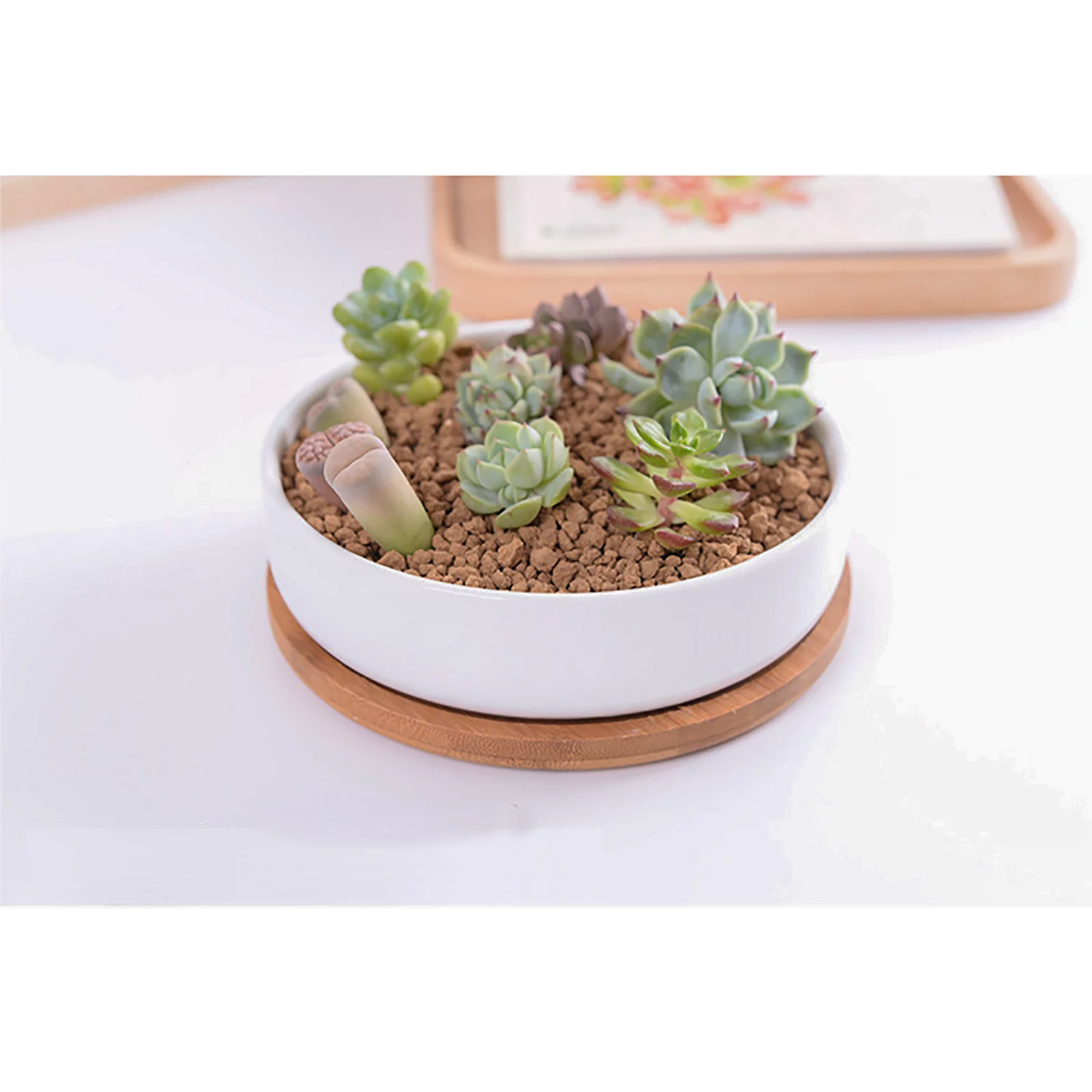 BELUPAI Environmentally Friendly Round Succulent Ceramic Flower Pot Bamboo Tray Creative Tabletop Tea Set Coaster