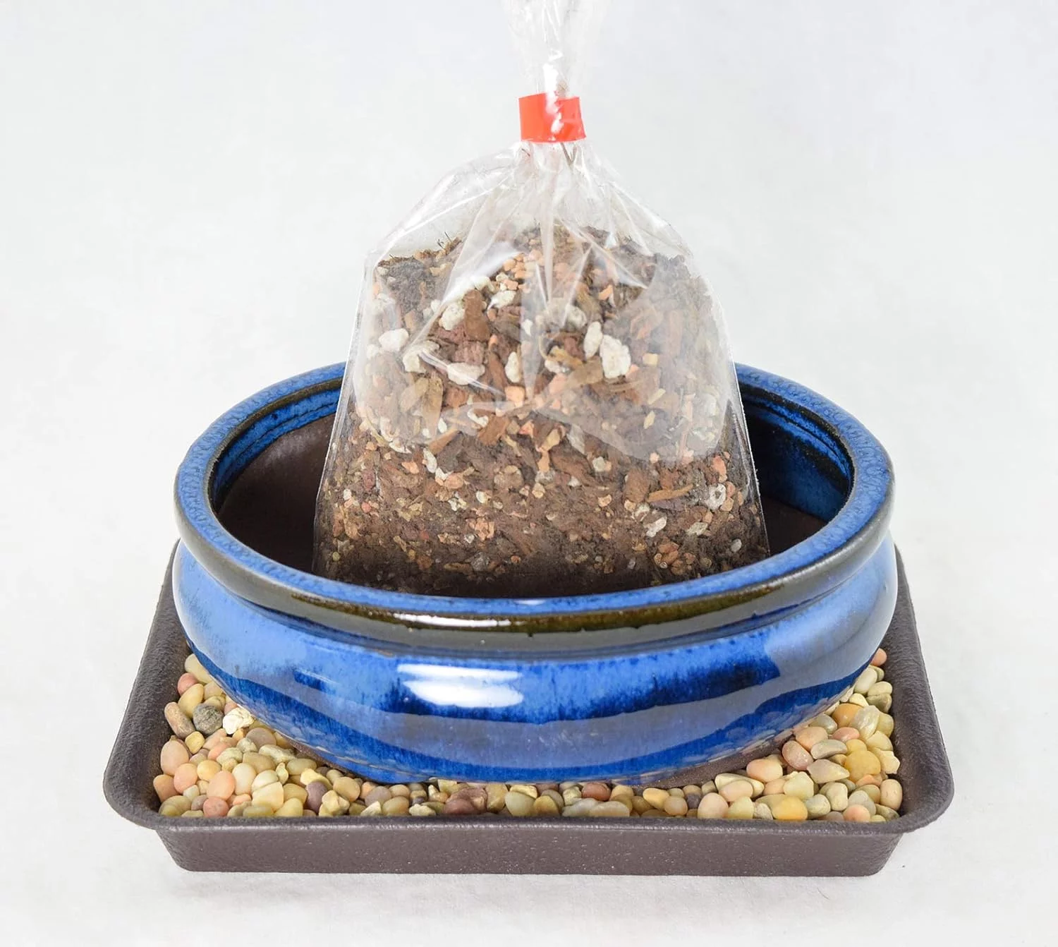 Oval Dark Blue Glazed Bonsai/Succulent + Soil + Tray + Rock + Mesh Kit