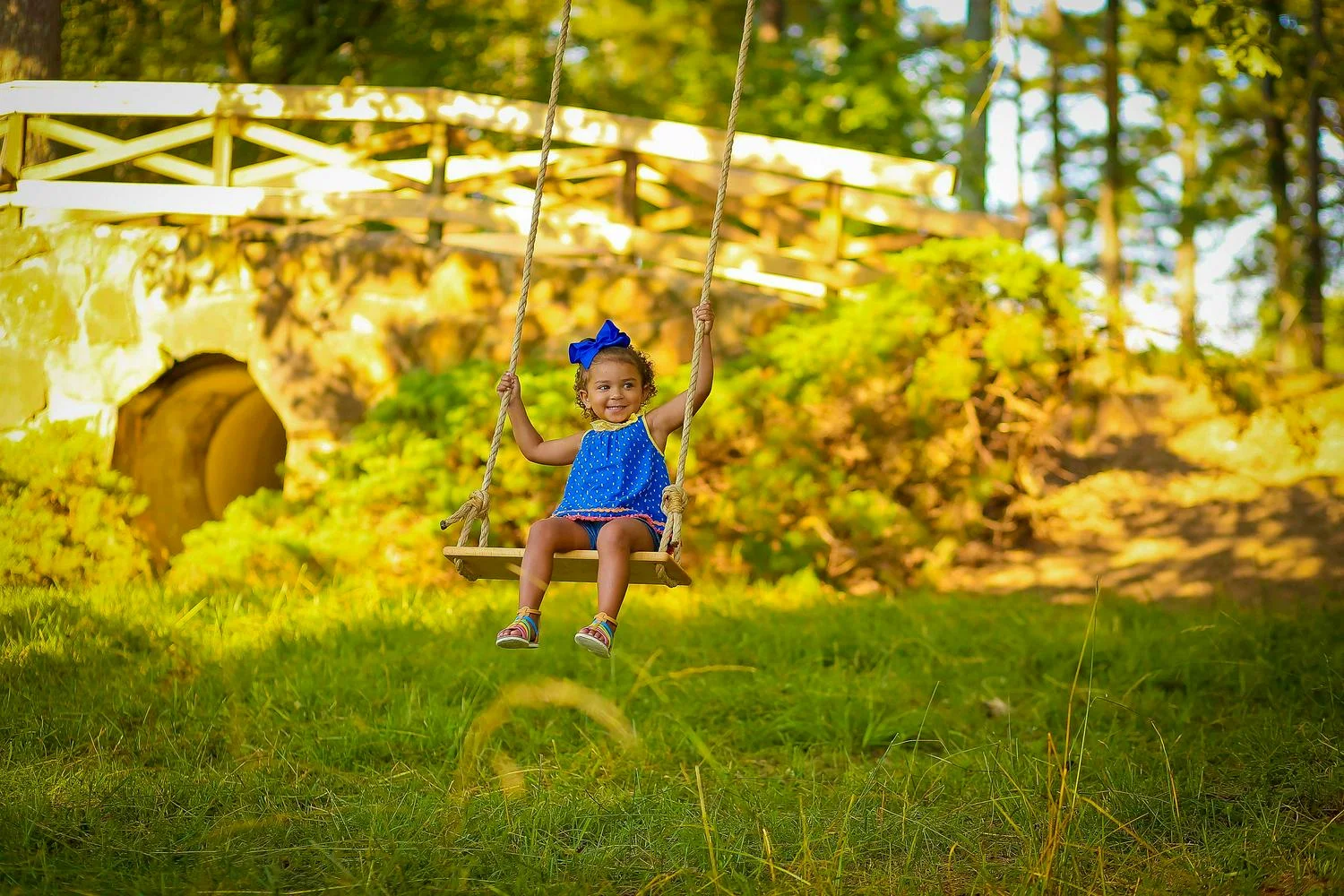 Adventure Parks Classic Tree Swing
