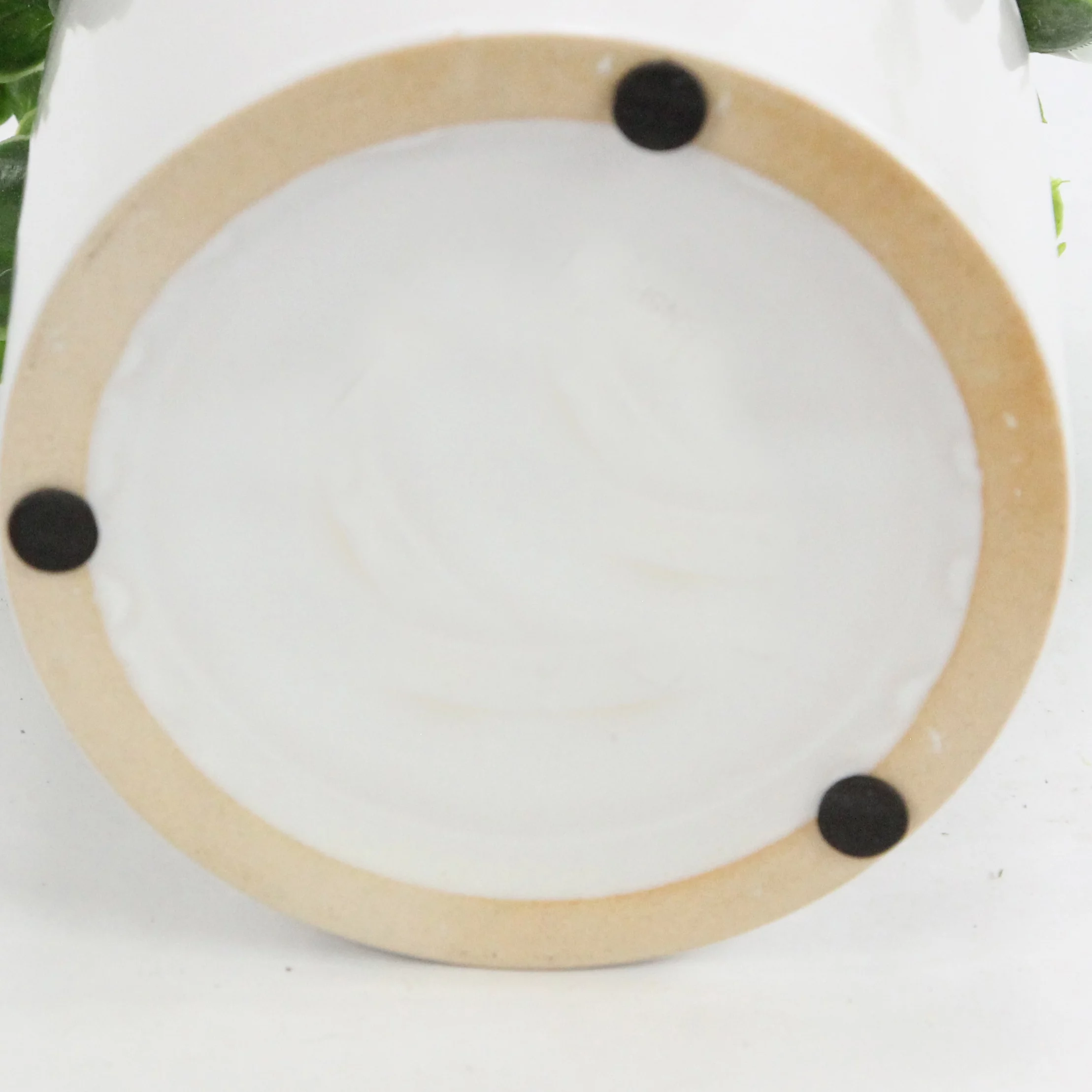 Admired by Nature  Artificial Mixed Garden Foliage Plant with Striped Ceramic Pot - Green