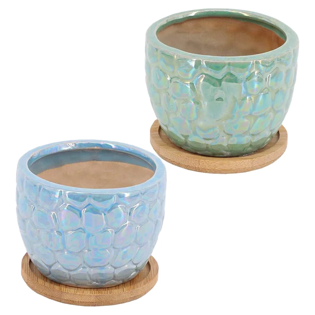 2 Sets of Ceramic Succulent Containers Planting Pots Succulent Plant Holders with Trays