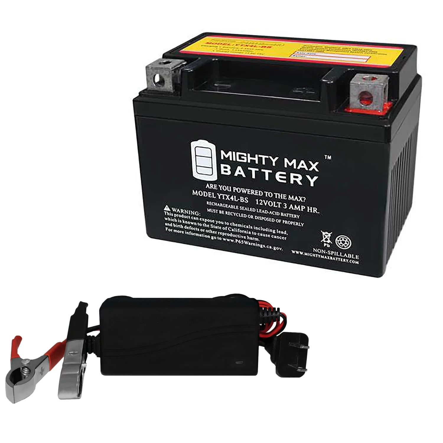 YTX4L-BS Replacement Battery for Suzuki 450SMR Riding Mower + 12V 1Amp Charger
