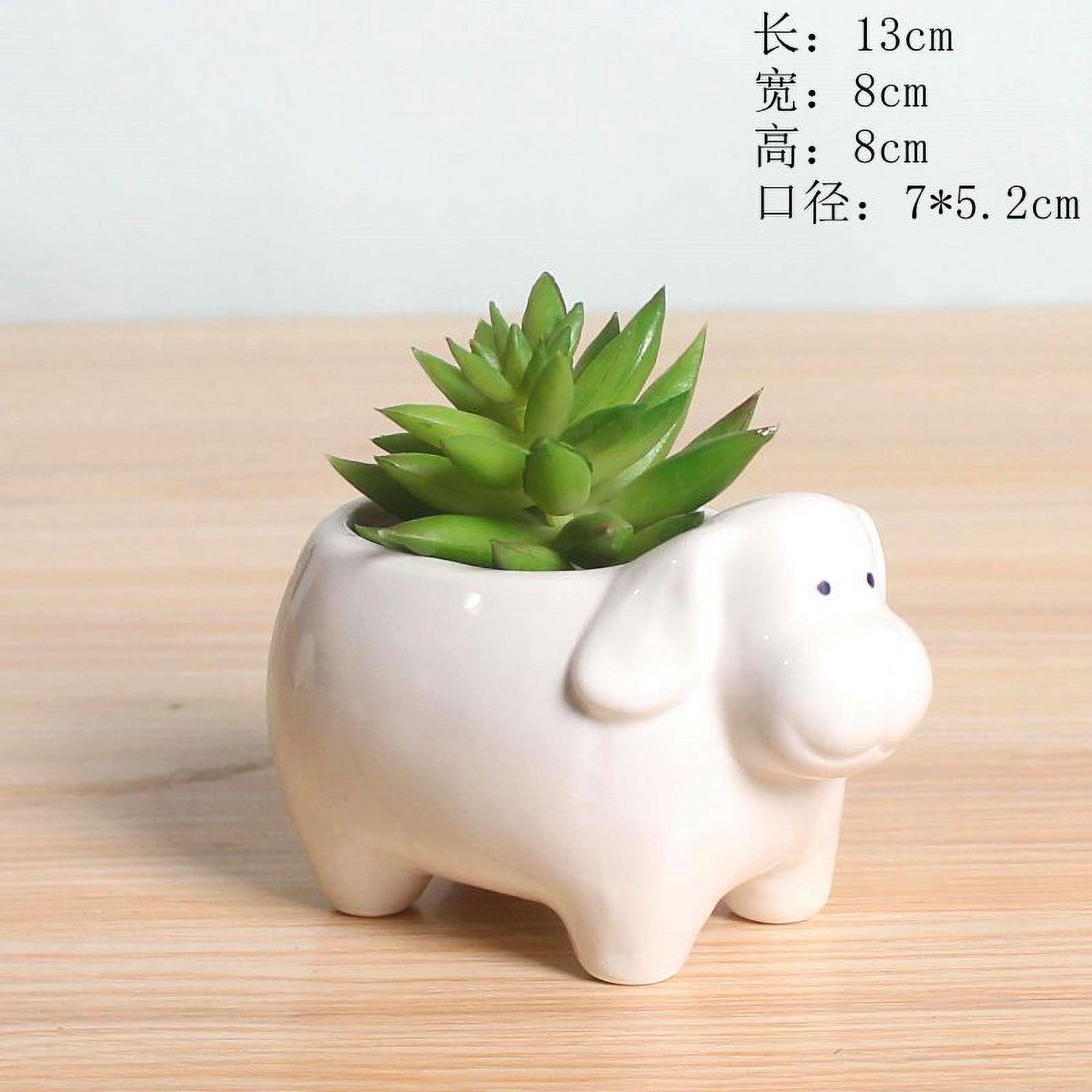 White Porcelain Succulent Planter - Minimalist Ceramic Flower Pot