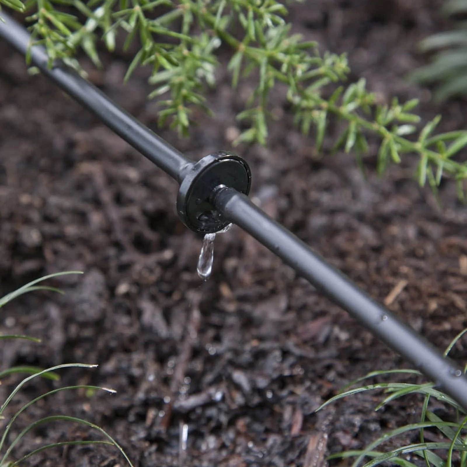 Raindrip Drip Irrigation Emitter 1 gph