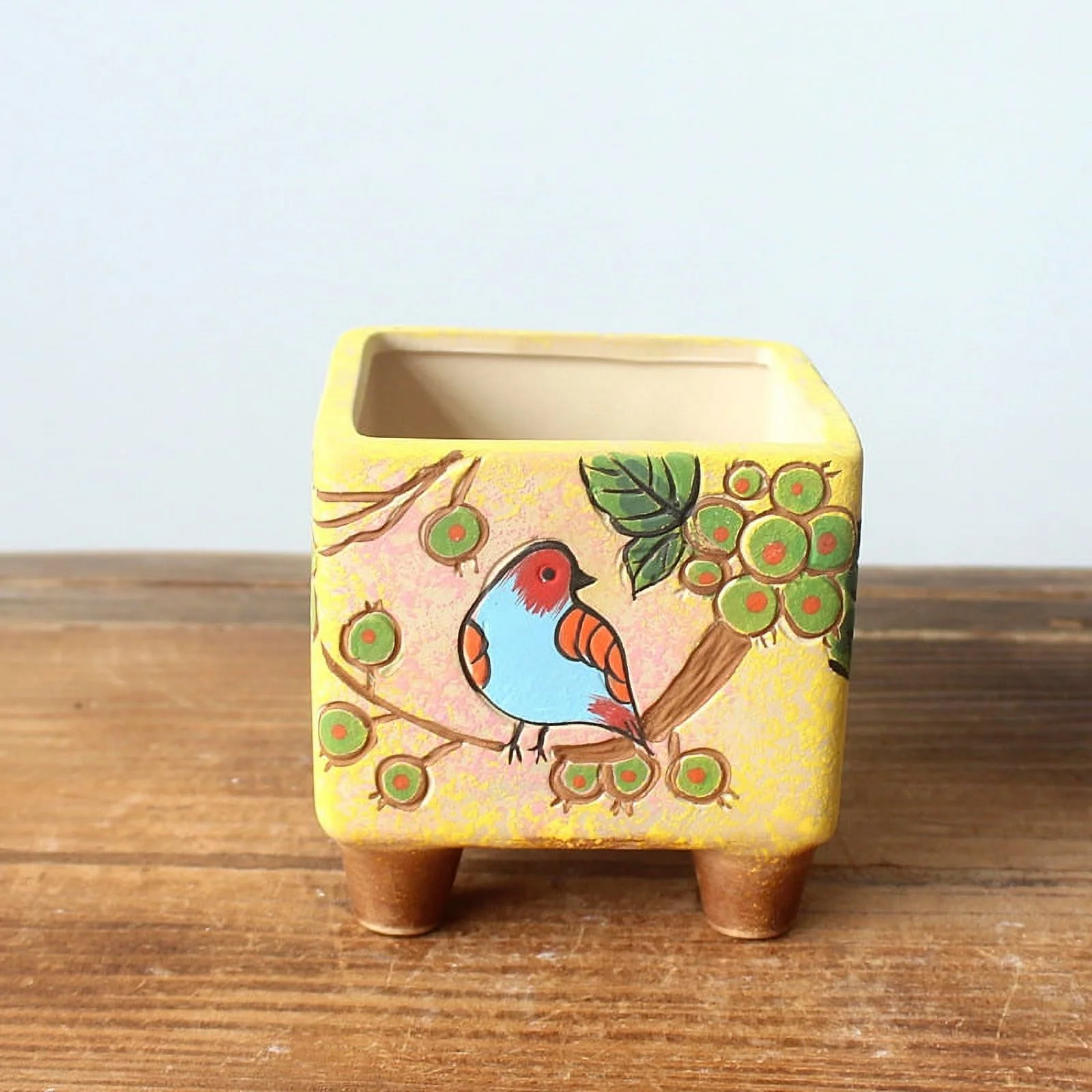 Hand-Painted Ceramic Succulent Planter - Rustic Style Desktop Plant Pot