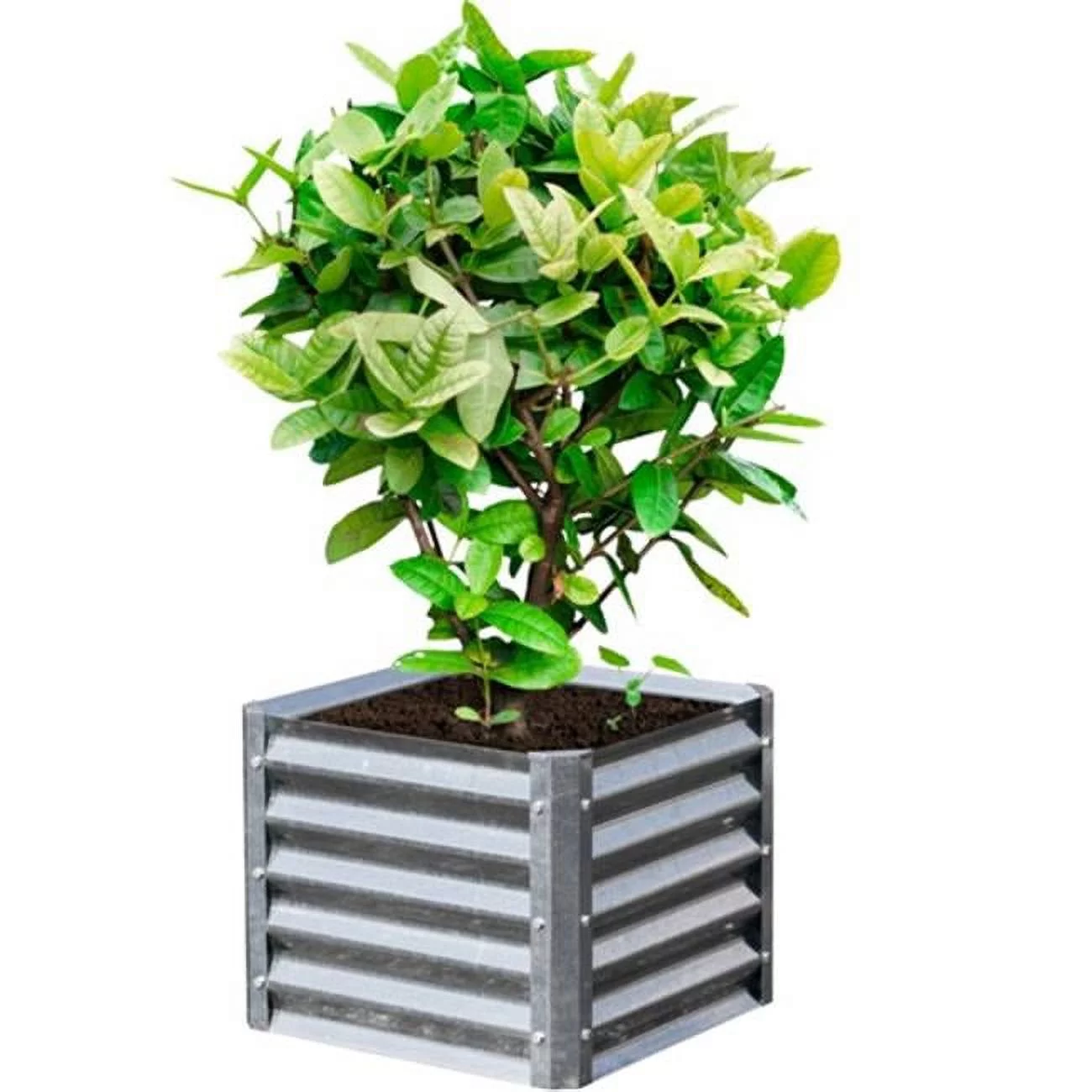 Alto Series 22 x 22 x 17 in. Square Galvanized Metal Planter