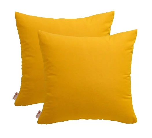 RSH Décor Indoor Outdoor Sunbrella Set of 2 Square Pillows 24