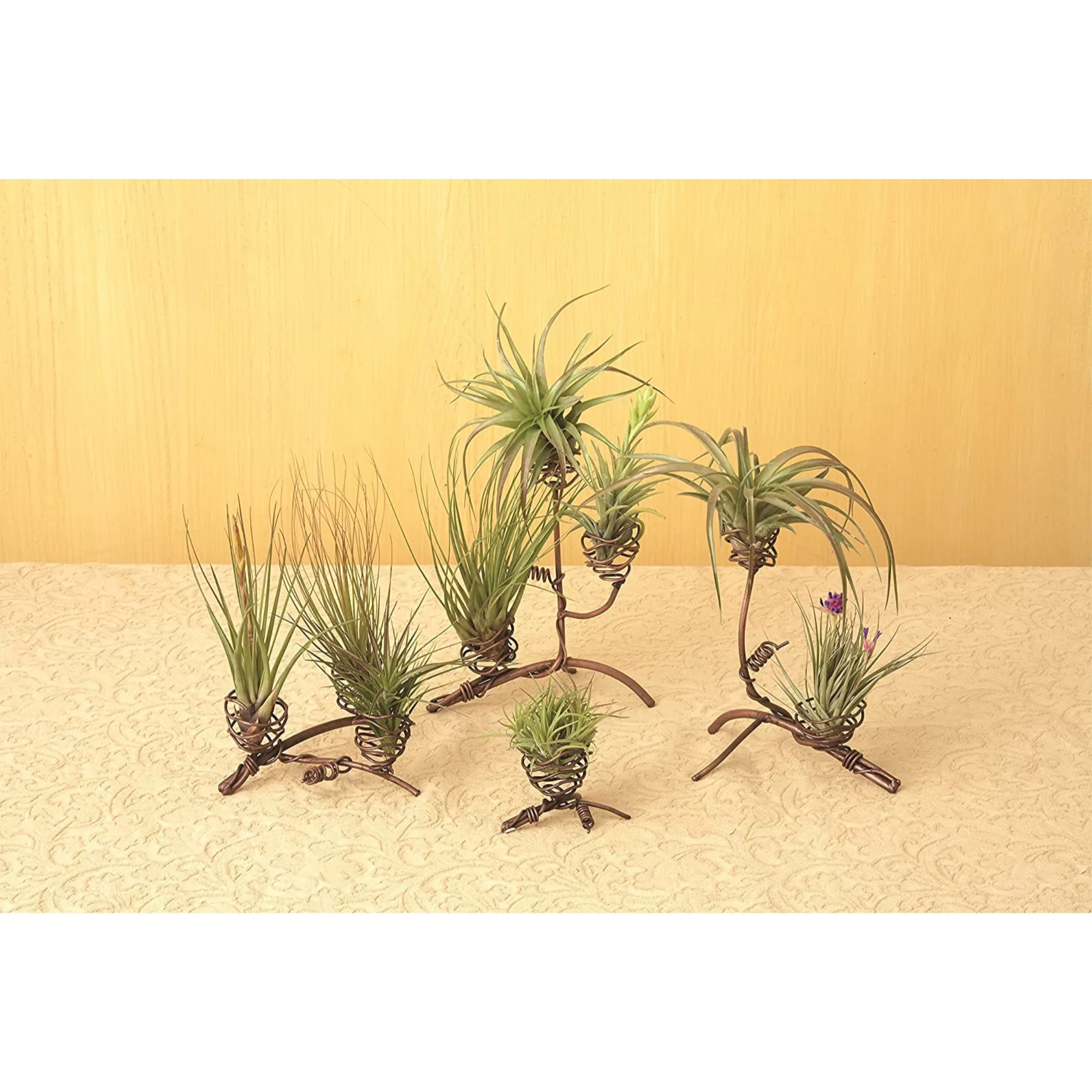 Ancient Graffiti Standing Triple Air Planter, Metal, 3