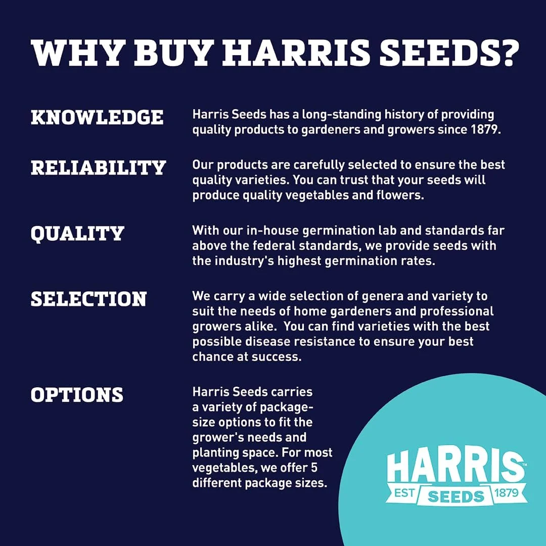 Jiffy Regular Seed Starting Pellet (35)