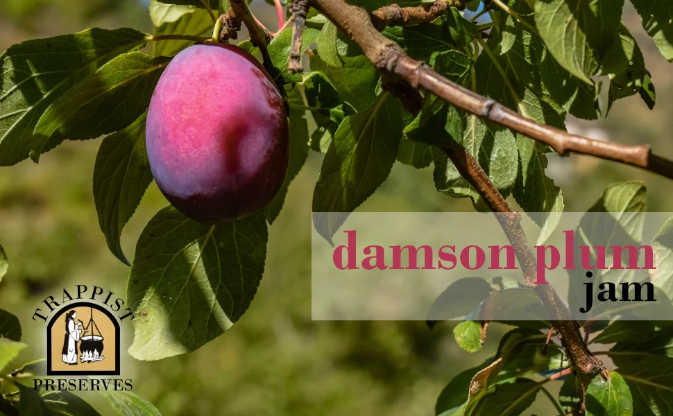 Wyked Yummy Damson Plum Jam Bundle