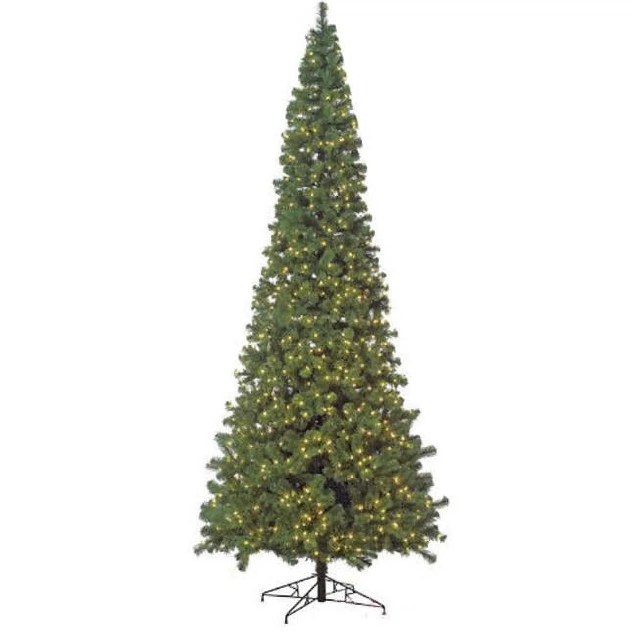 15 ft. Ff Virginia Pine Tree