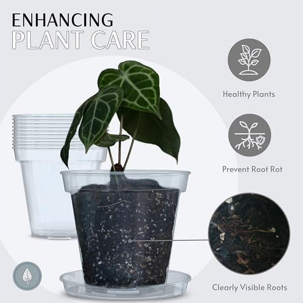 karenplantsplants™ 8