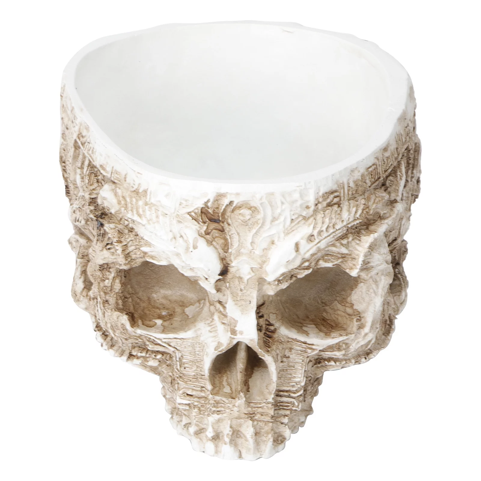 Verdant Touch Skull Flowerpot Innovative Resin Skull shaped Flower Pot Succulent Planter Holder Ornament Home Decoration
