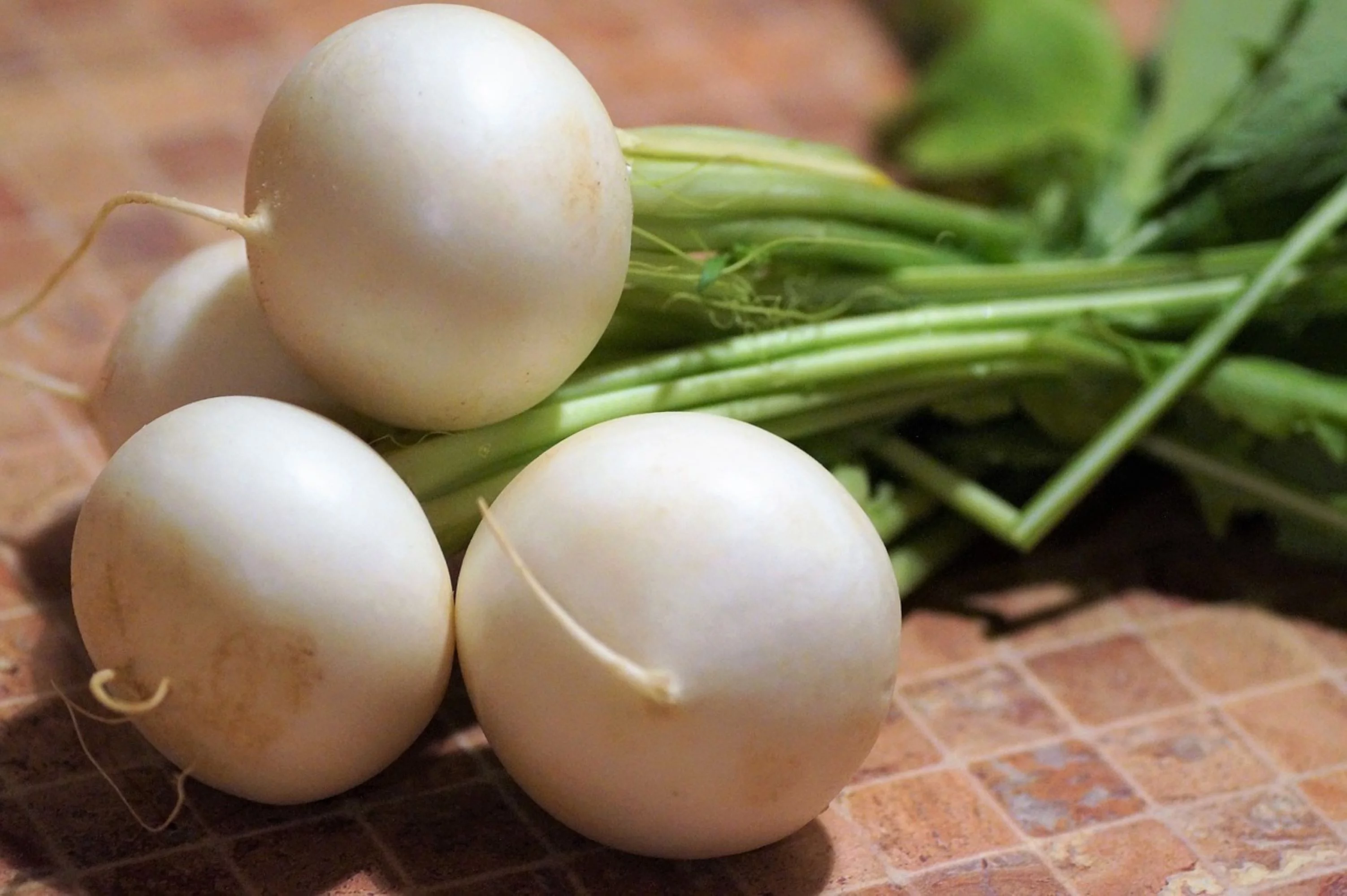 White Egg Turnip Seeds/ Annual/ Full Sun/2800 Seeds 1/4 oz/ Zellajake Farm and Garden - B127