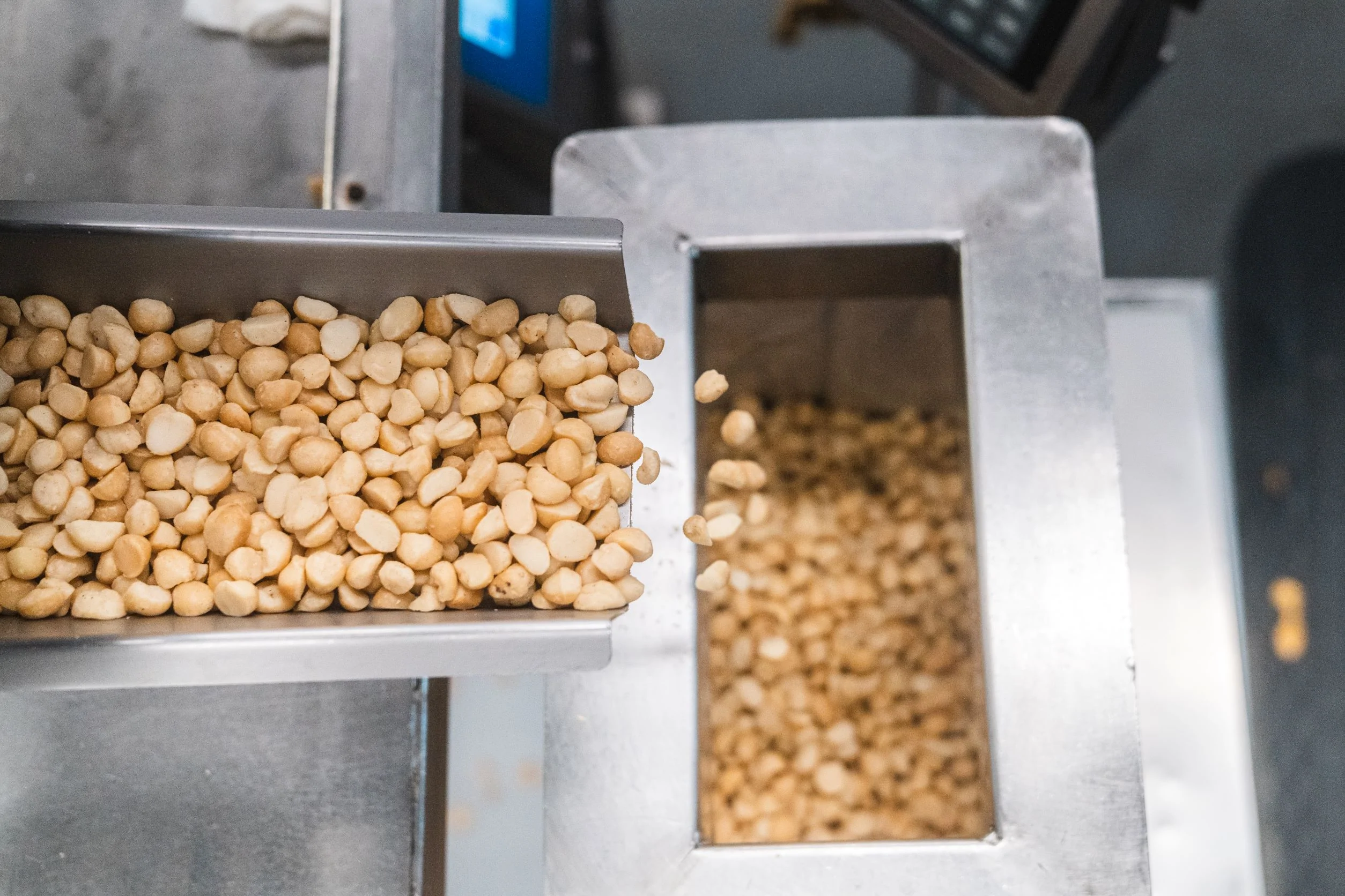 Maui Onion Macadamia Nuts