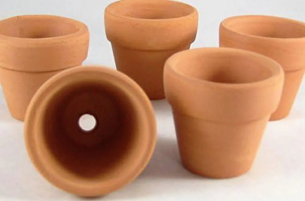 Spring Garden Mini Terracotta Pots Small Clay Pots Great For Succulents Or Gifts