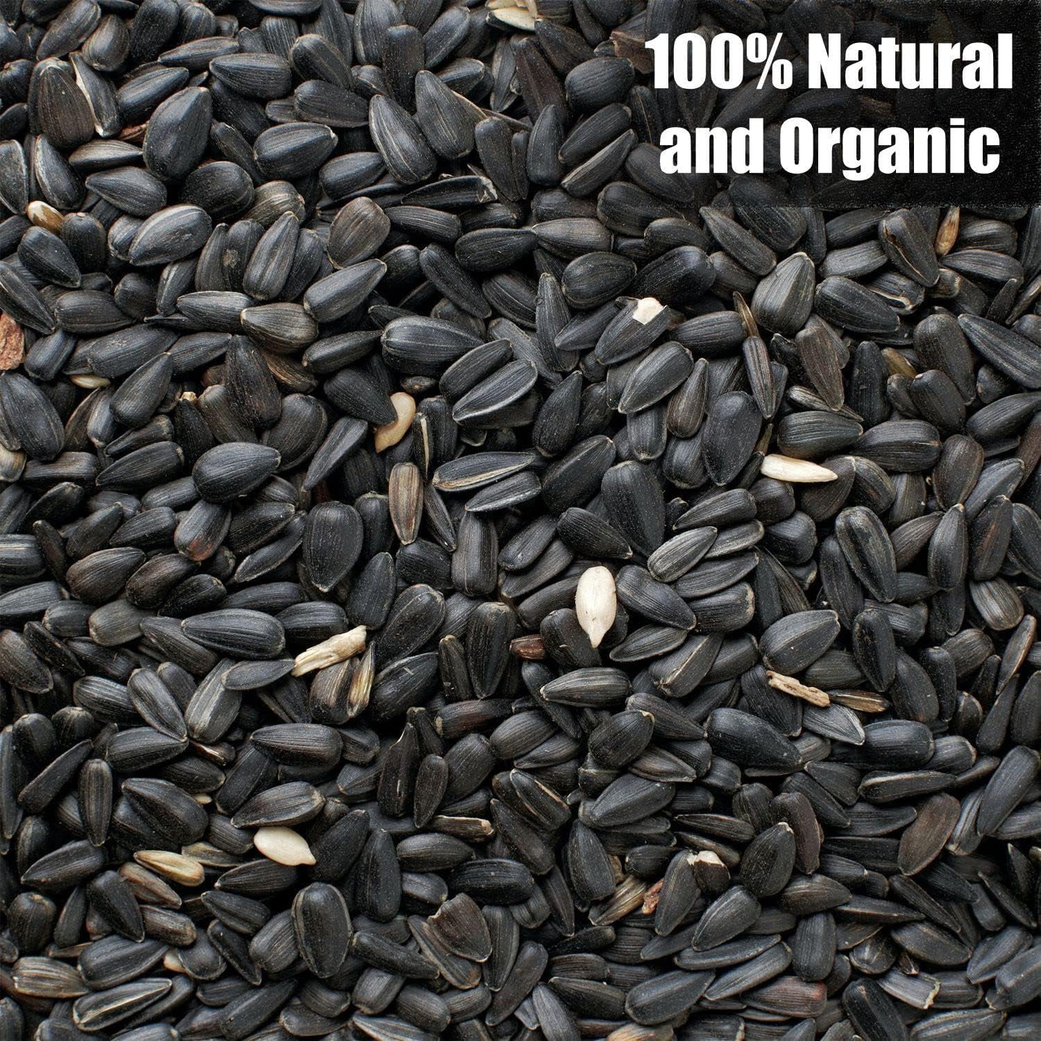 Old Potters Wildlife Black Oil Sunflower Seeds, 50 Pounds, for Birds and Wildlife, Non-GMO & USA Grown on Small Farms, 50 lbs