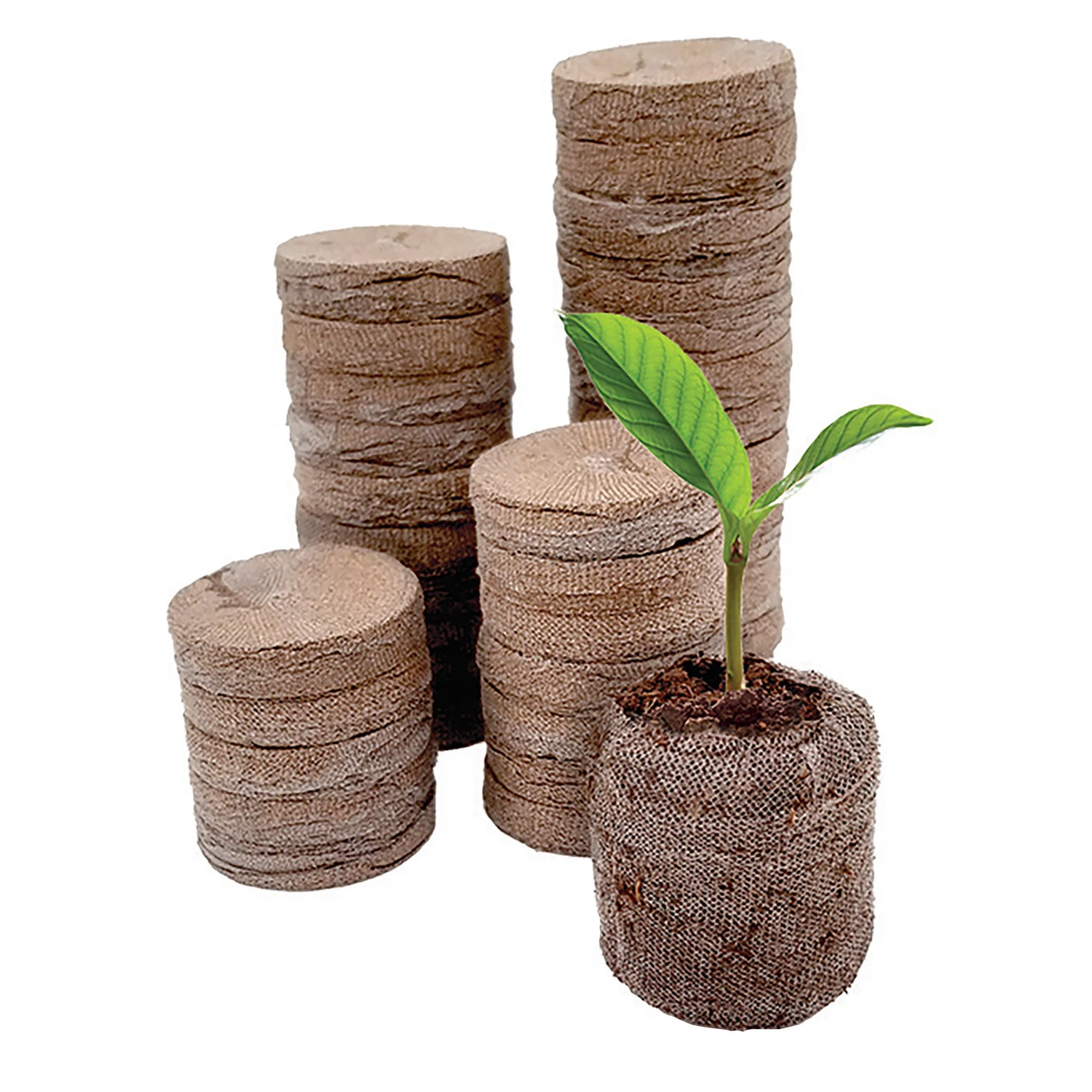 Jiffy 36 Cell Seed Starting Greenhouse Kit, 36mm Peat Pellets