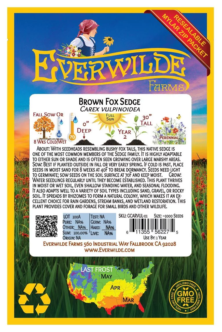 Everwilde Farms - 1000 Brown Fox Sedge Native Grass Seeds - Gold Vault Jumbo Bulk Seed Packet