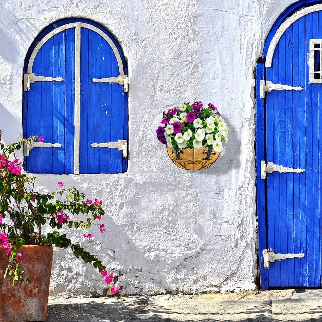 Ashman Wall/Rail Metal Plant Basket Hanging, Black Color Flower Planter Basket Ideal for Fences, Wall Mount 2 Pack.