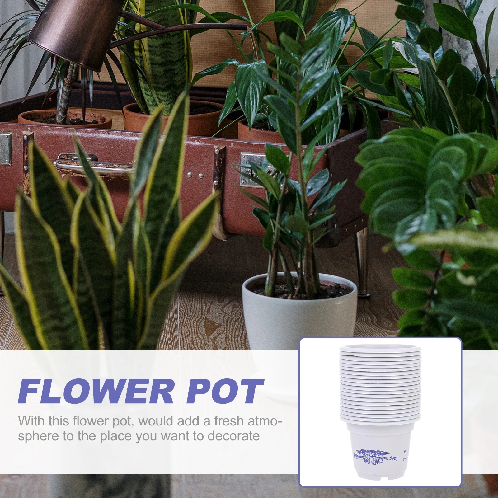 20 Pcs Oval Flower Pot Home Planting Plastic Flowerpot Potted Plants Household Balcony Small Succulent