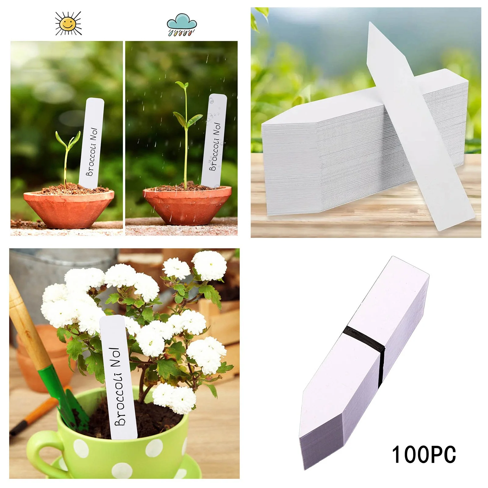 100pc One Shape Flower Small Label Succulent Label Horticultural Seedling Insert Card