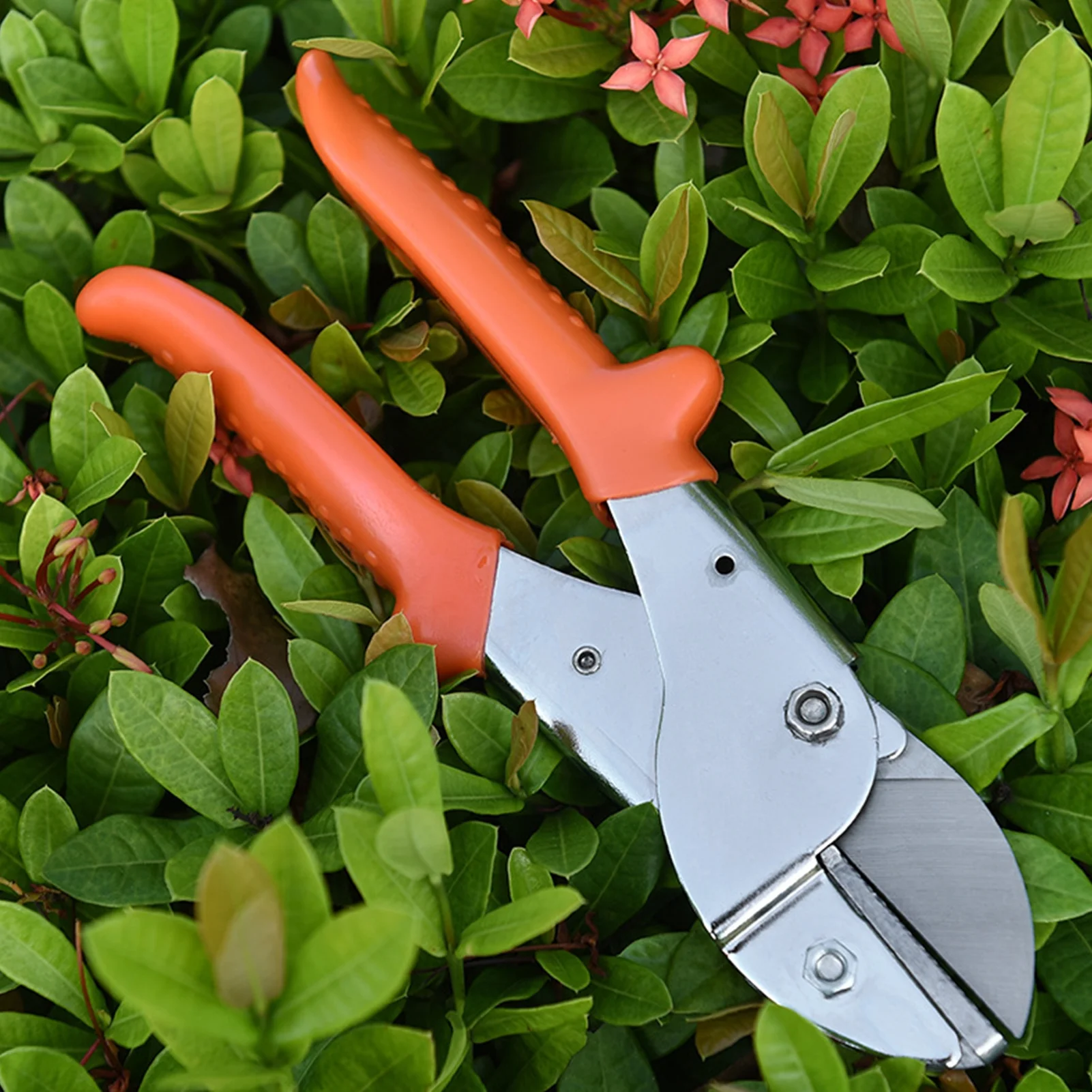 Spirastell Pruning Shears,Secateurs Steel Shears Rose Flowers Fruit Professional Hand Cutters Professional Shears With Handles Steel Shears With Handles Scissors Tool Scissors Hand Tool Wyan