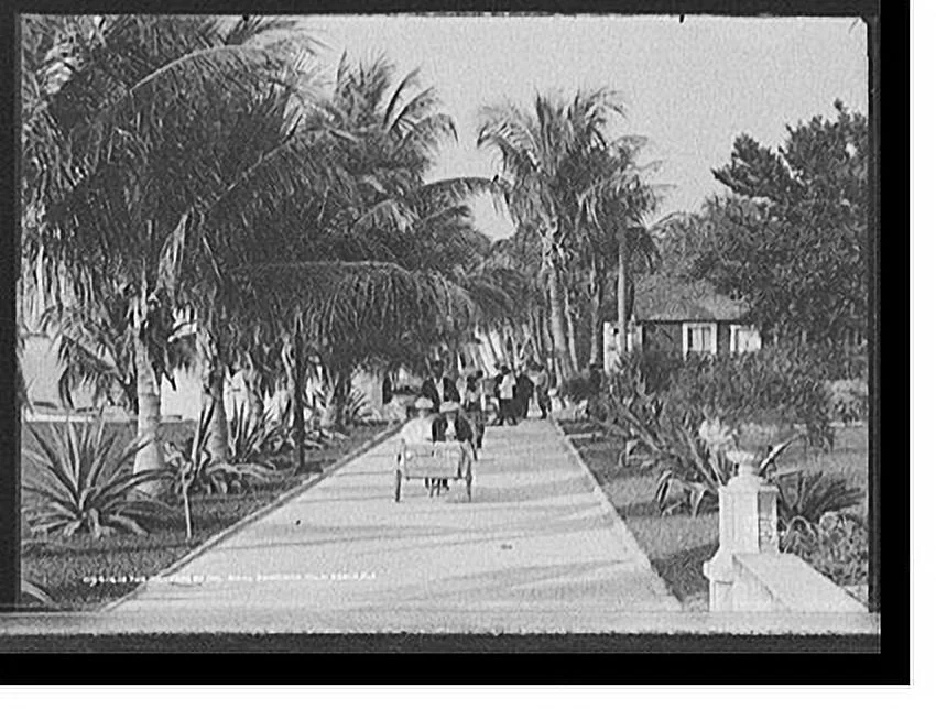 Historic Framed Print, The Grounds of the [Hotel] Royal Poinciana, Palm Beach, Fla., 17-7/8