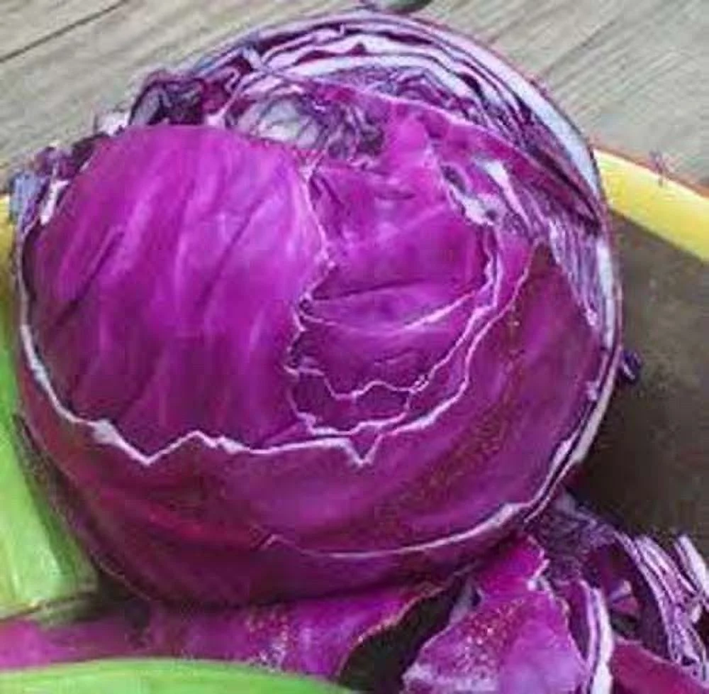 Cabbage Red Acre Great Heirloom Vegetable 700 Seeds By Seed Kingdom