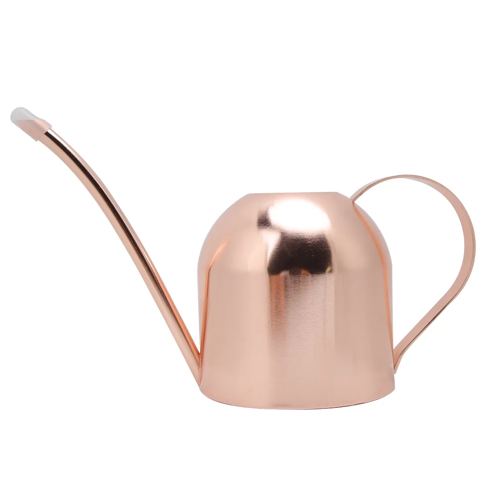 Jadeshay Watering Can 1000ml Stainless Steel Watering Can Sprinkle Pot Long Mouth Garden Flowers Plants Water Container