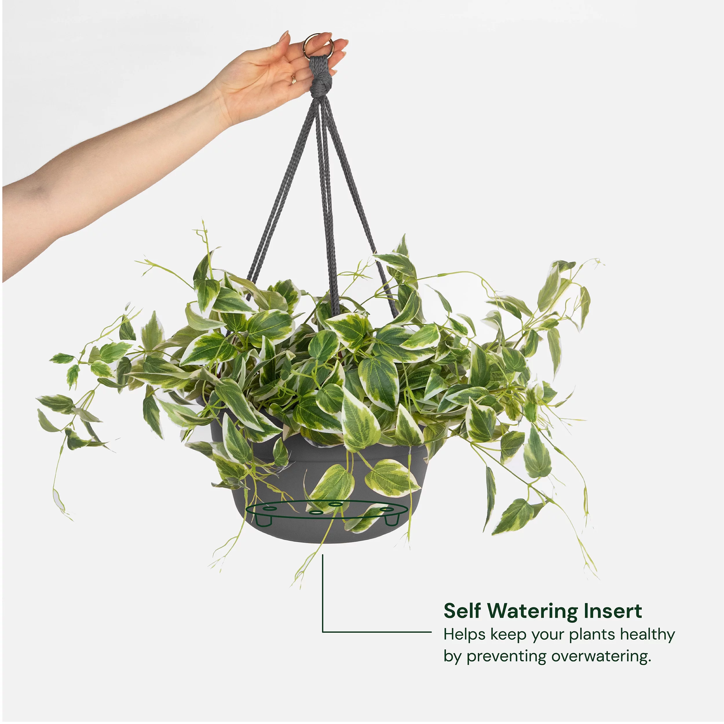 Bloem Dura Cotta Self Watering Hanging Basket Planter 12