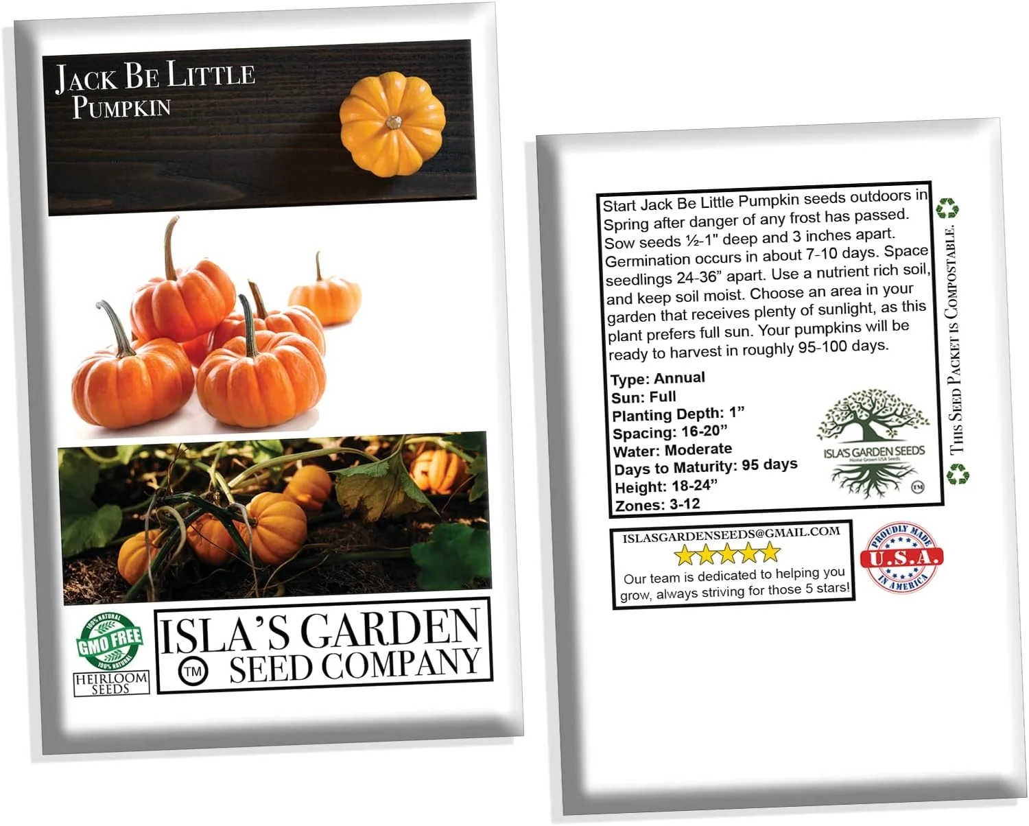 Jack Be Little Pumpkin Seeds, 10 Heirloom Seeds Per Packet, Non GMO Seeds, Isla's Garden Seeds