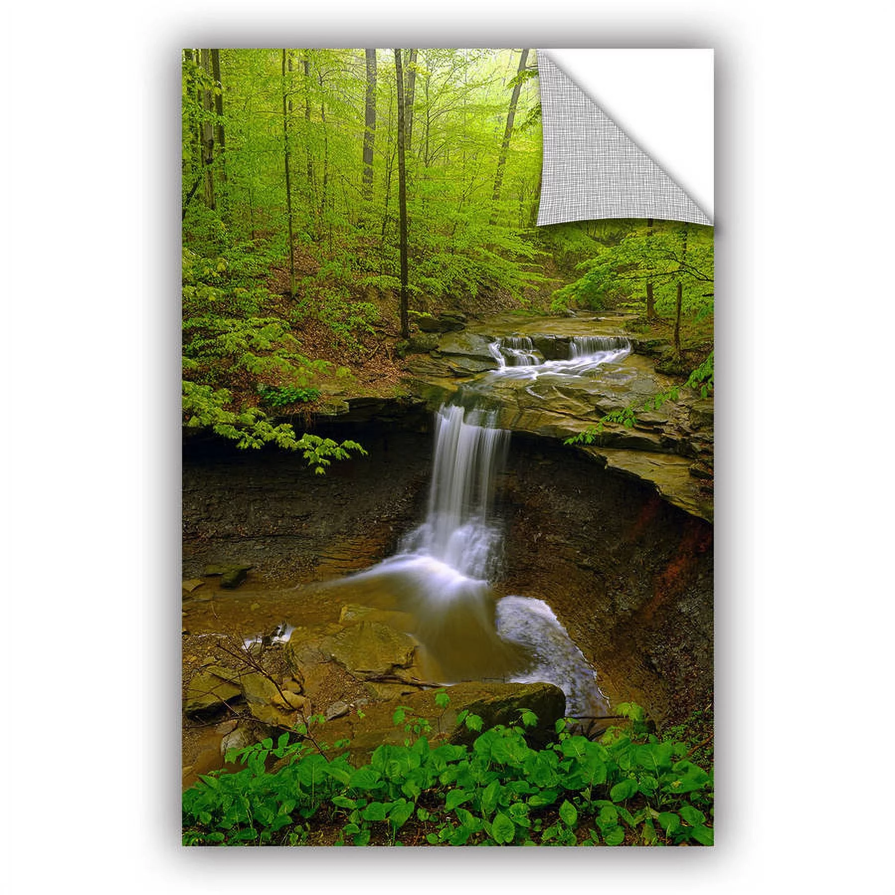 ArtWall Antonio Raggio  ' Water Falls ' Art Appealz Removable Wall Art
